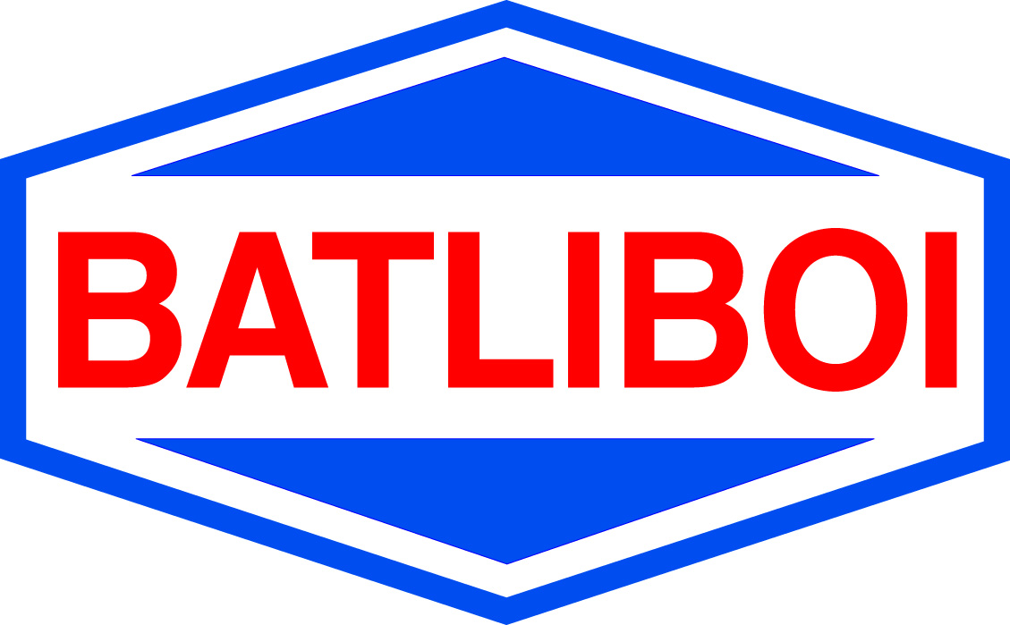 BATLIBOI LTD